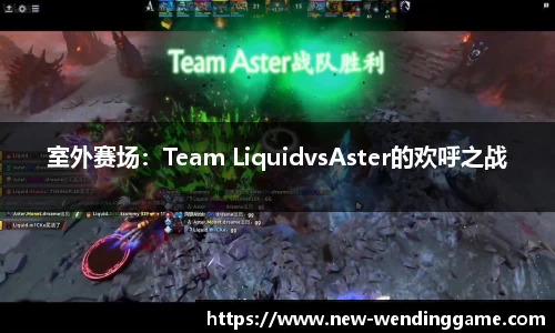 室外赛场：Team LiquidvsAster的欢呼之战